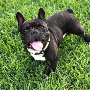 Meet your Posher, Lindsay